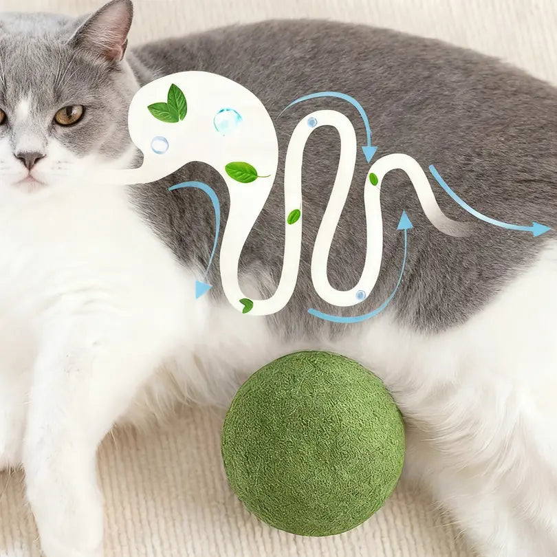 3.94-Inch Catnip Ball for Indoor Cats - Large Cat Toys for Kittens - Jumbo Catnip Balls - Teething Chew Toys - Dental Cleaning Toys for Kittens