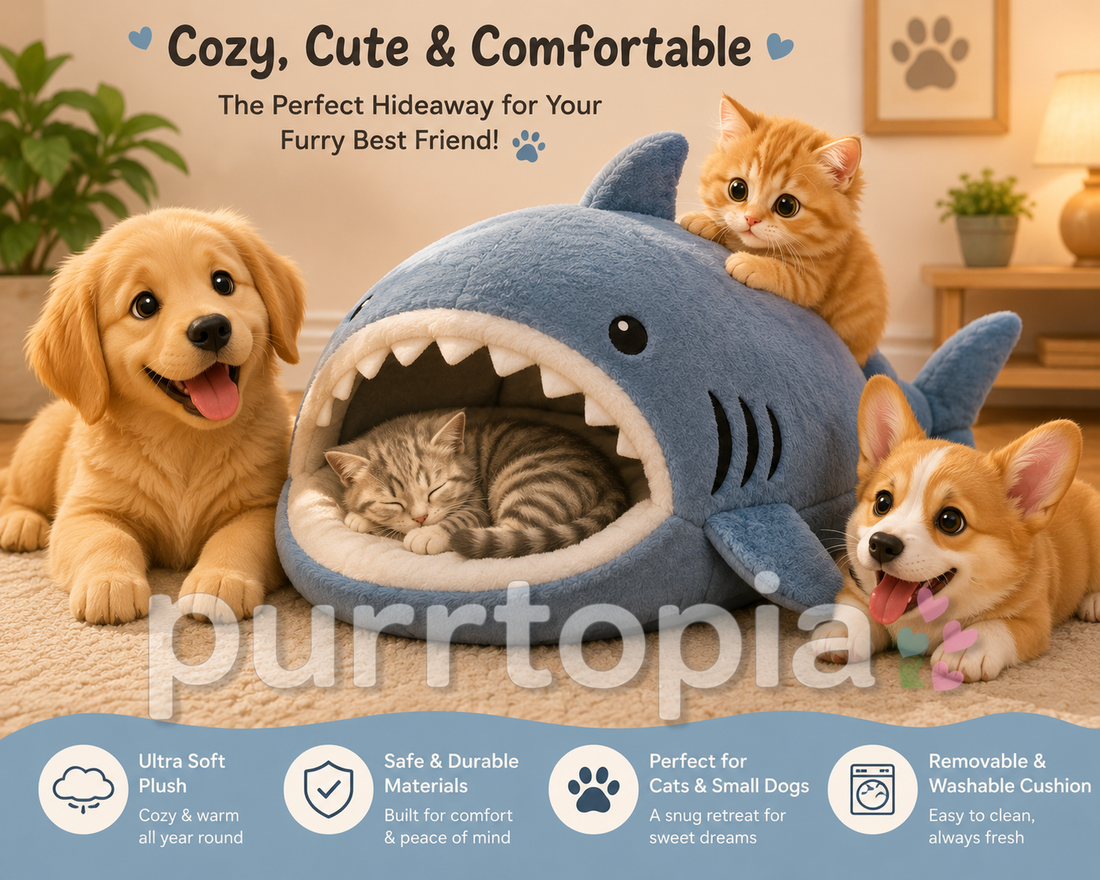 5 Signs Your Cat or Dog Needs a Cozy Retreat (And Why This Shark Bed Checks Every Box)