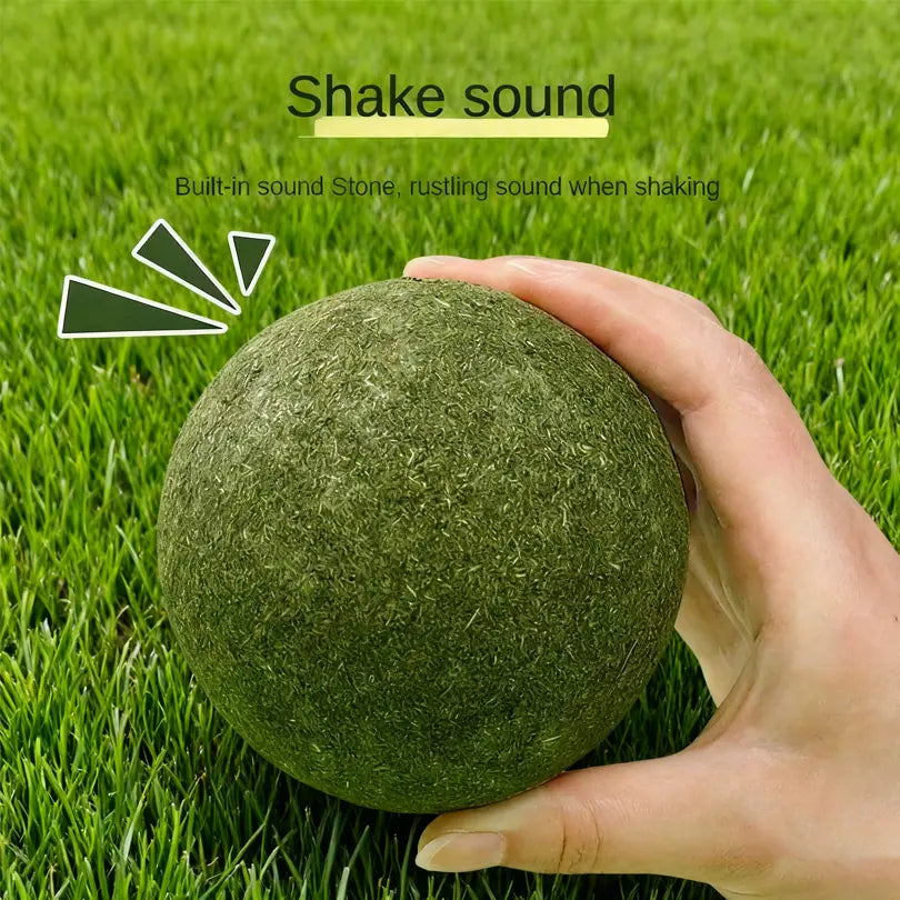 3.94-Inch Catnip Ball for Indoor Cats - Large Cat Toys for Kittens - Jumbo Catnip Balls - Teething Chew Toys - Dental Cleaning Toys for Kittens