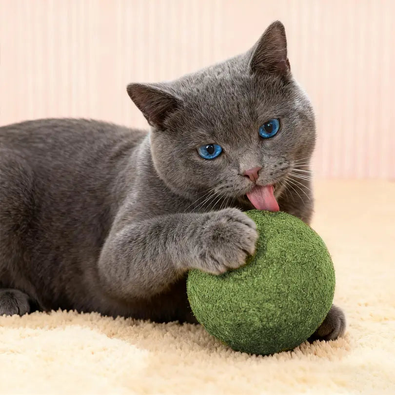 3.94-Inch Catnip Ball for Indoor Cats - Large Cat Toys for Kittens - Jumbo Catnip Balls - Teething Chew Toys - Dental Cleaning Toys for Kittens