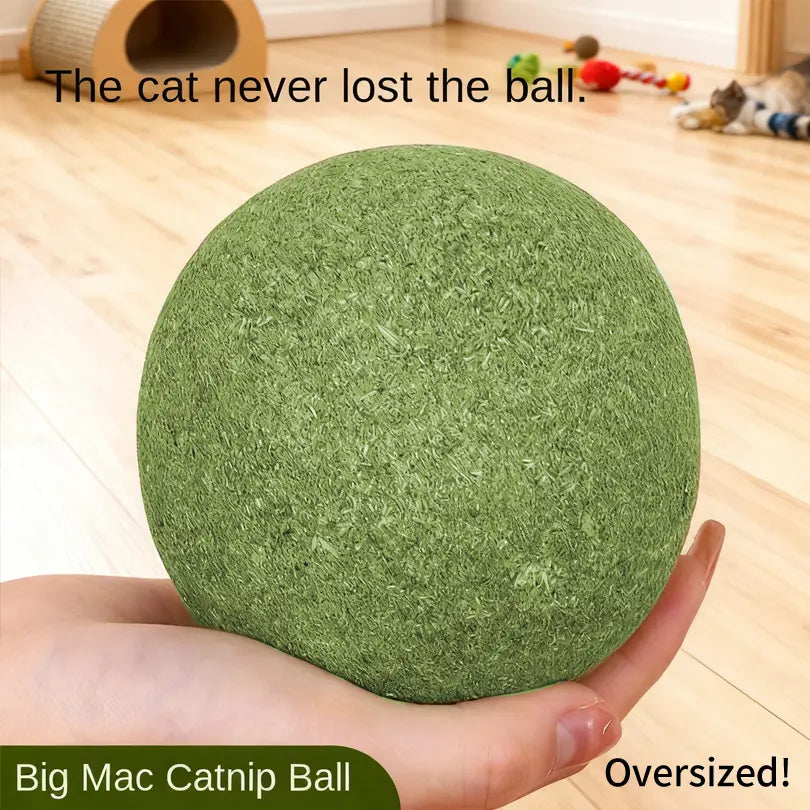 3.94-Inch Catnip Ball for Indoor Cats - Large Cat Toys for Kittens - Jumbo Catnip Balls - Teething Chew Toys - Dental Cleaning Toys for Kittens