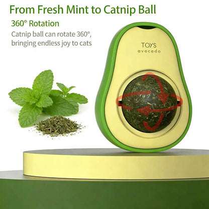 Wall-Mounted Avocado Catnip Toy for Kittens - Interactive Multi-Tier Track for Dental Care and Stress Relief