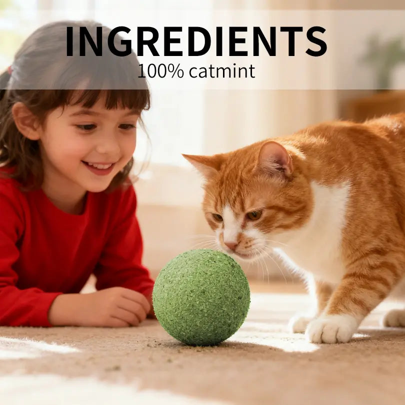 3.94-Inch Catnip Ball for Indoor Cats - Large Cat Toys for Kittens - Jumbo Catnip Balls - Teething Chew Toys - Dental Cleaning Toys for Kittens